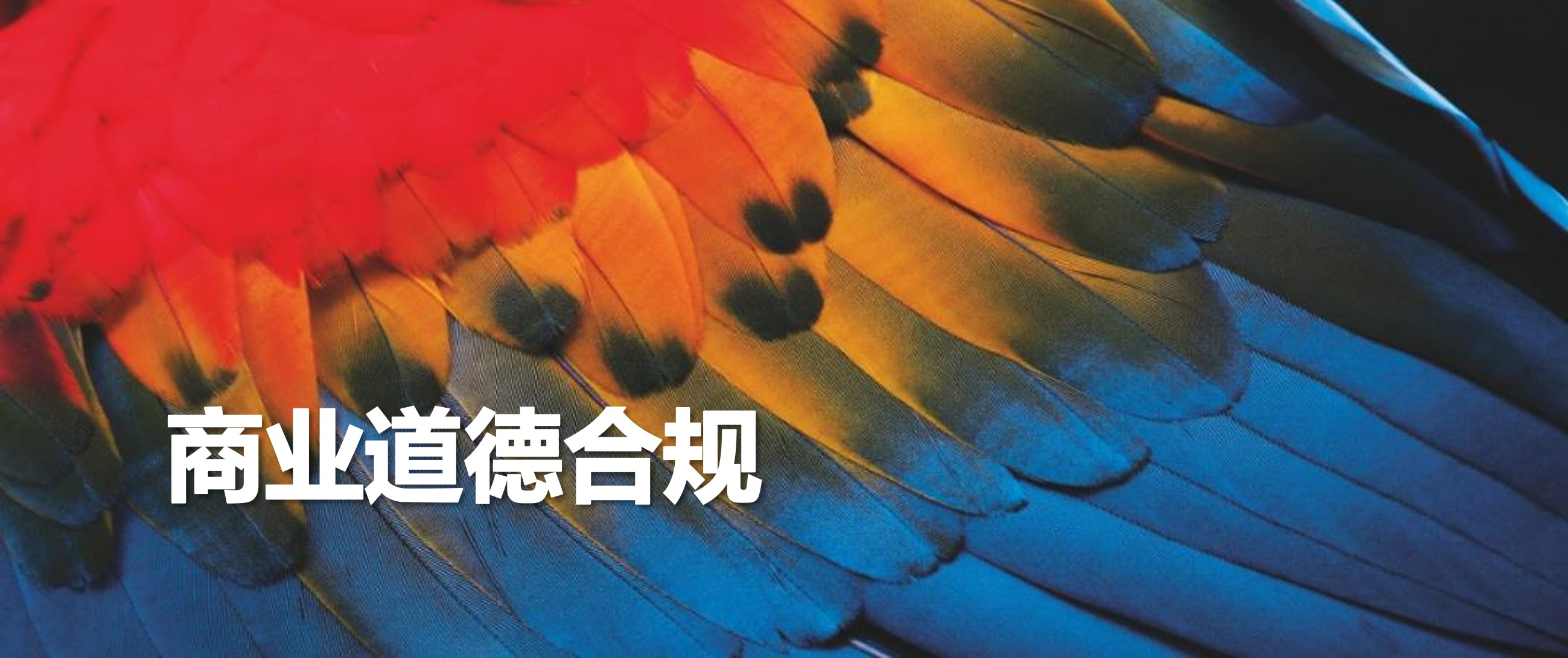 联想始终秉持合法、诚信、正直的经营理念。联想道德与合规办公室（ECO）负责管理公司的道德及合规事宜，并致力于打造诚信正直、严守公司准则和政策的文化。道德与合规办公室与联想遍布全球的业务部门合作，提高联想上下对道德合规的重视。同时，该团队在为员工提供信息、资源及培训，并帮助员工做出正确选择方面发挥着重要作用。该部门还负责监督联想《行为准则》的执行情况，该准则清晰界定了员工业务行为在合法和合乎商业道德方面应遵守的条例。<br/><br/>《行为准则》是联想诚信正直企业文化的延伸，准则创建的目的是让员工对自身行为负责，并帮助员工明确寻求建议的方式。《行为准则》及相关政策和培训资料会定期通过多种沟通渠道提供。<br/>