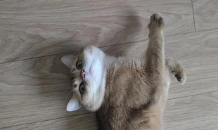 lp2lt3jw3j0p48ax1dmpz9jzmh6r8j484125.jpg