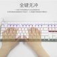 樱桃CHERRY MX8.0 G80-3888HYAEU-0机械键盘有线键盘游戏键盘87键RGB背光白色樱桃茶轴图片