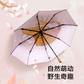 蕉下栖寻系列三折伞（北极熊）图片